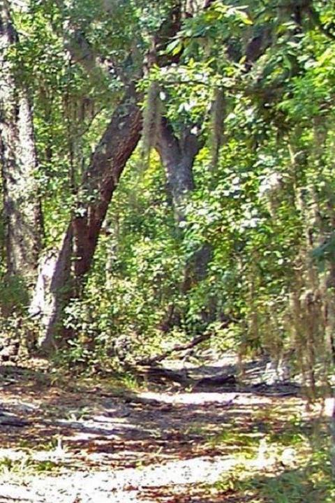 Hugh S. Branyon Backcountry Trail